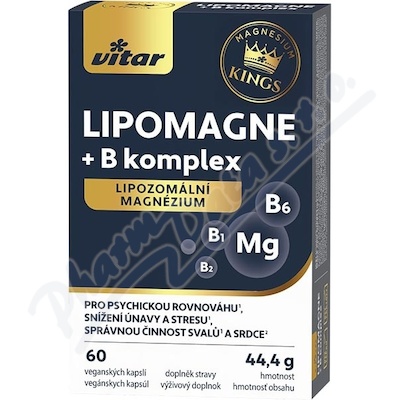 Vitar LIPOMAGNE+B komplex cps.60